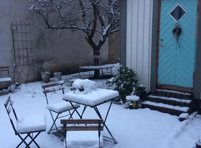 Schwedenliebe 弗雷兴